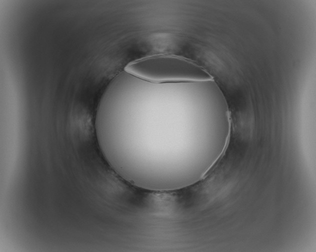 X0000111210327200907081307