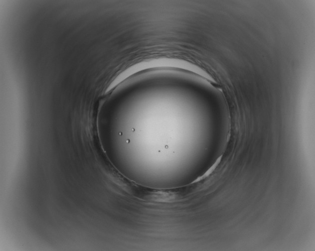 X0000111210328200907081307