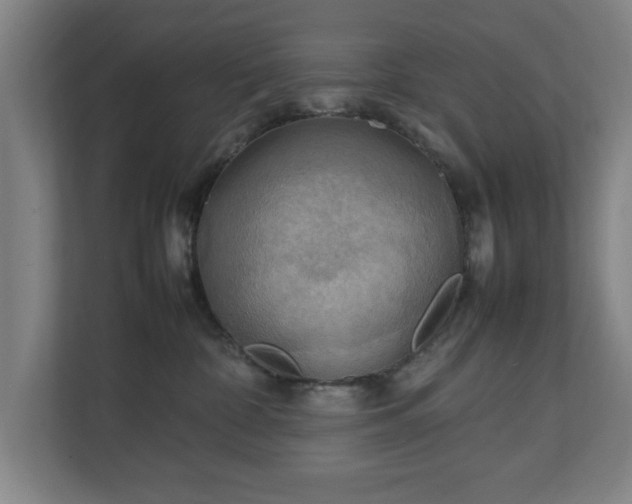 X0000111210332200907081307