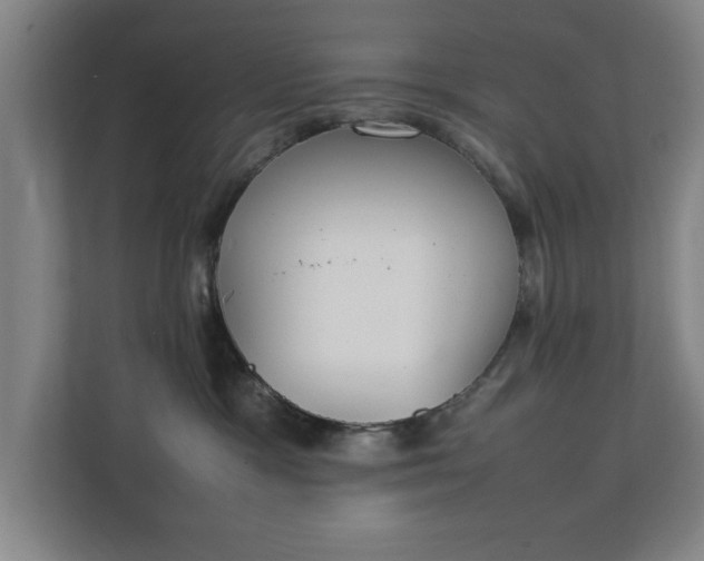 X0000111210333200907081307