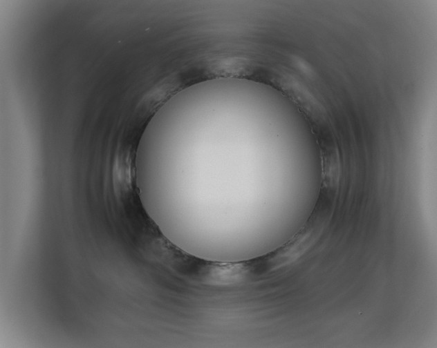 X0000111210334200907081307