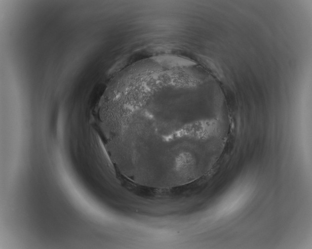 X0000111210335200907081307