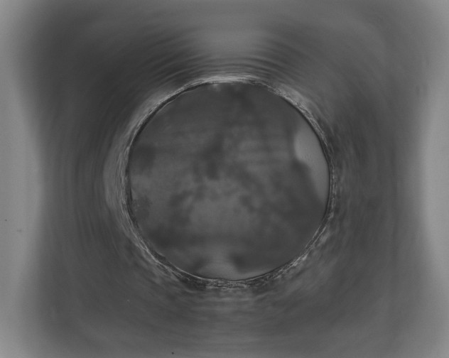 X0000111210337200907081306