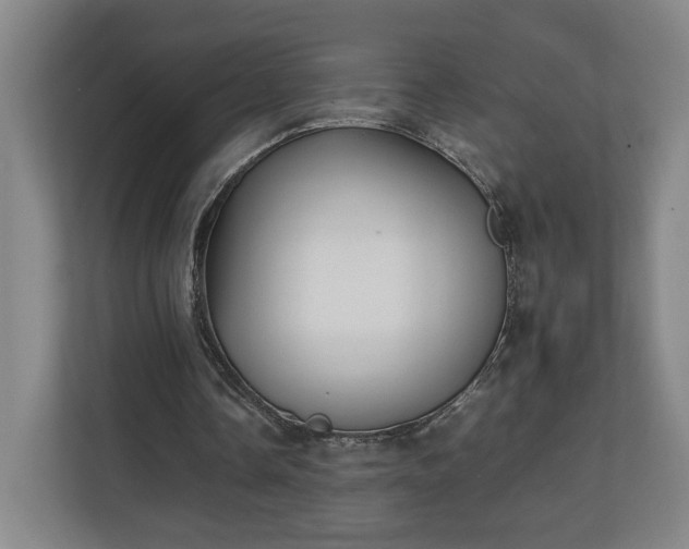 X0000111210338200907081306