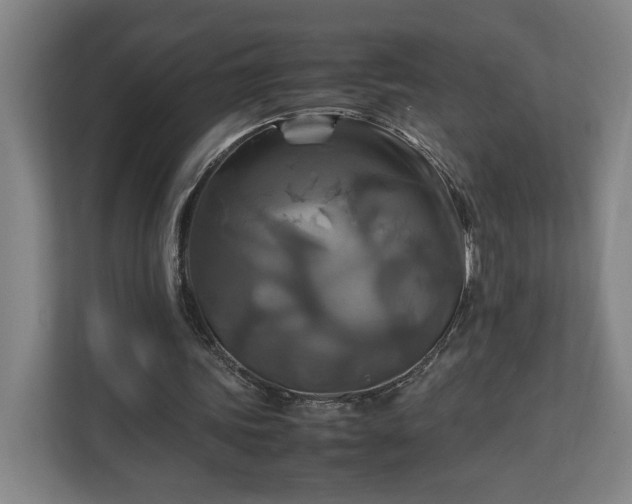 X0000111210339200907081306