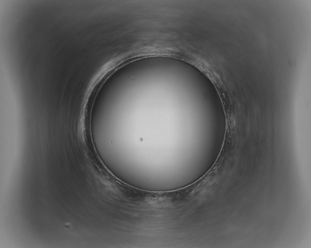 X0000111210340200907081306