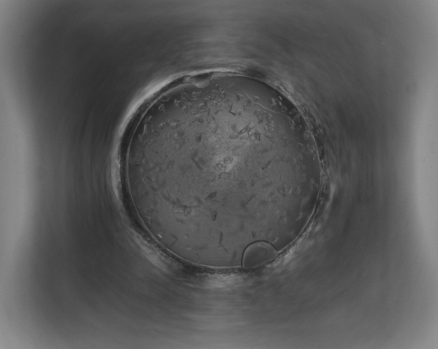 X0000111210342200907081306
