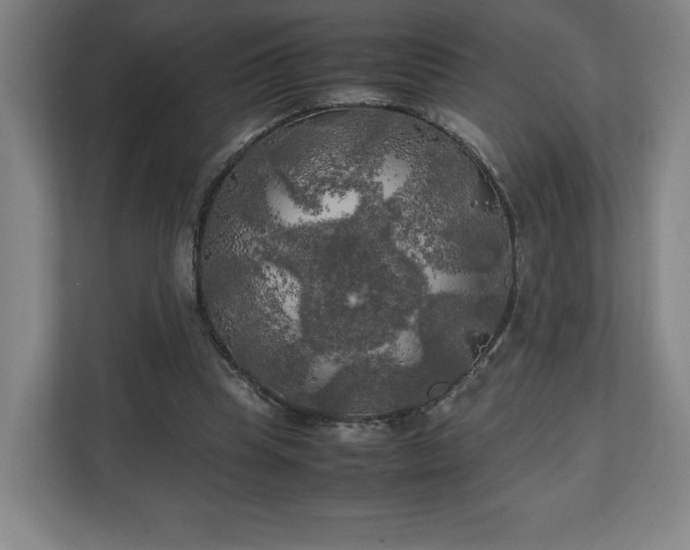 X0000111210345200907081306