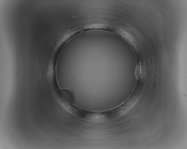 X0000111210348200907081306