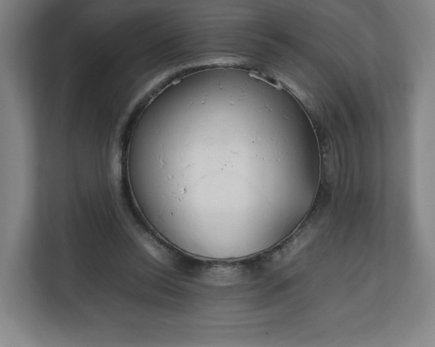 X0000111210350200907081306