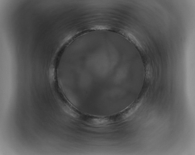 X0000111210351200907081306