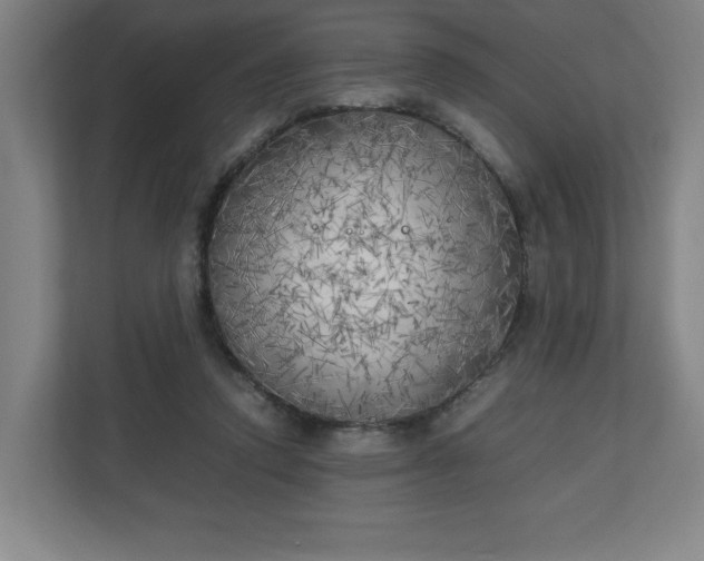 X0000111210354200907081306