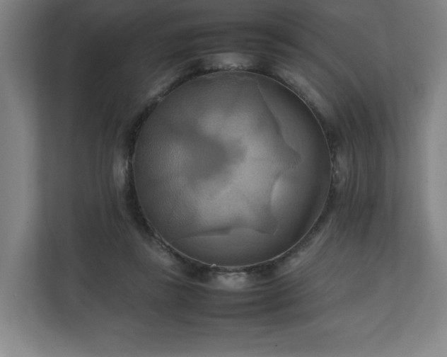 X0000111210355200907081306