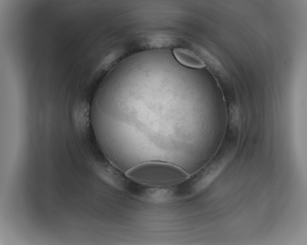 X0000111210356200907081306