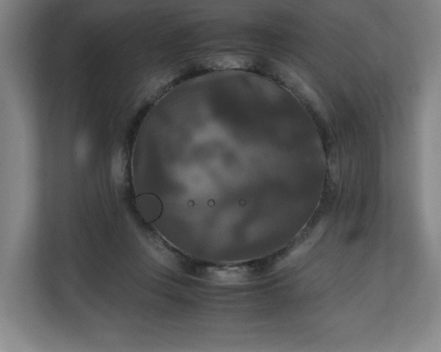 X0000111210359200907081306