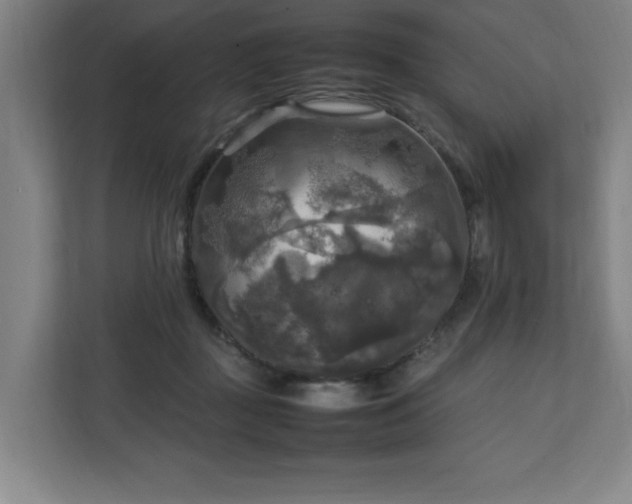 X0000111210363200907081306