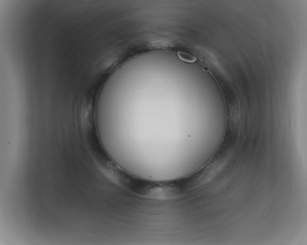 X0000111210364200907081306