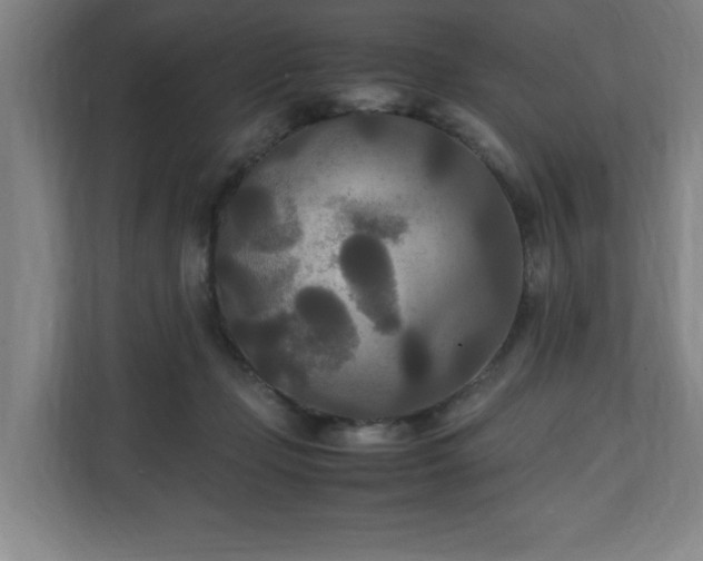 X0000111210365200907081306