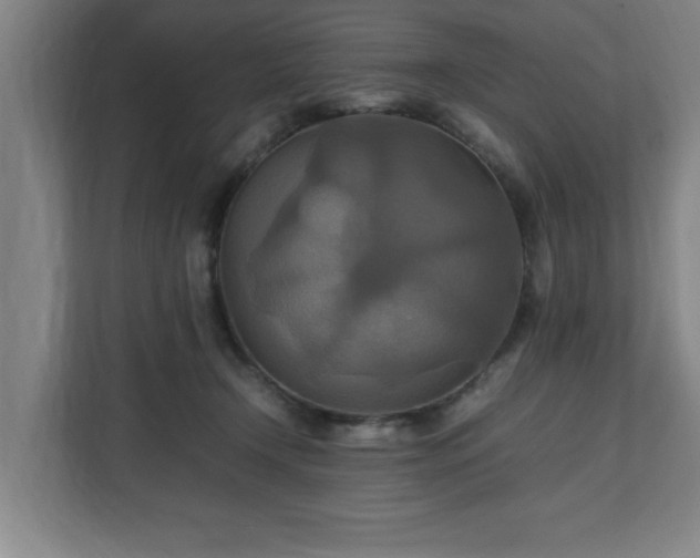 X0000111210366200907081306