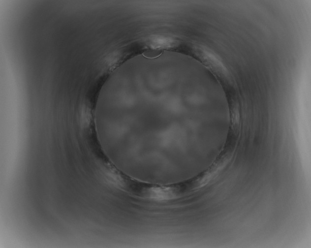 X0000111210367200907081306