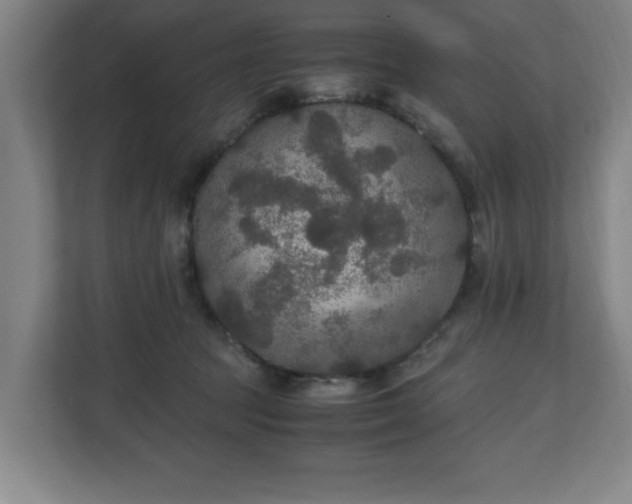 X0000111210369200907081306