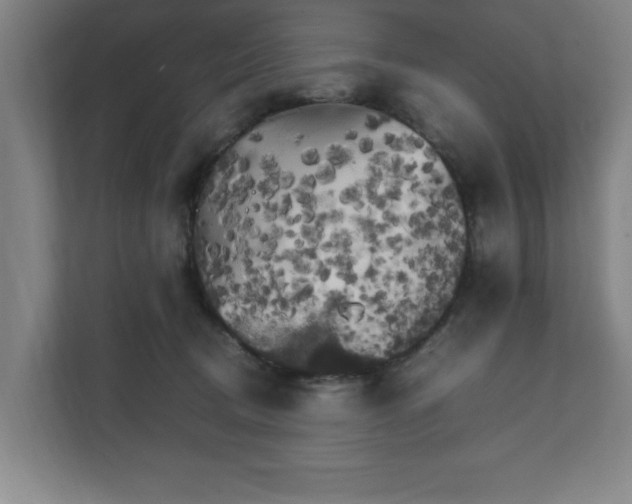 X0000111210370200907081306