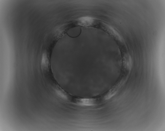 X0000111210371200907081306