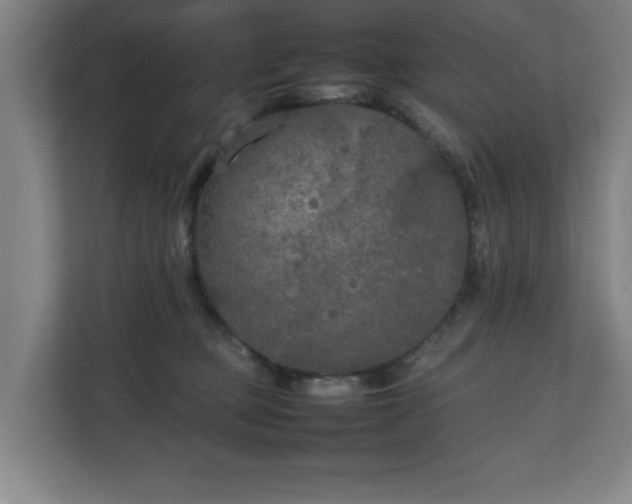 X0000111210373200907081306