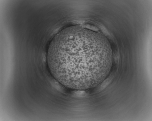 X0000111210374200907081306