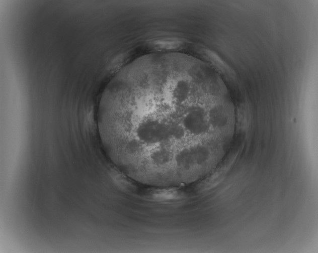 X0000111210377200907081307