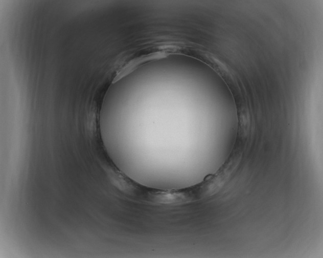 X0000111210379200907081307