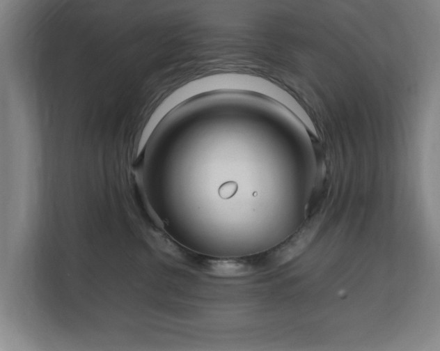 X0000111210380200907081307