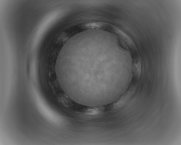 X0000111210381200907081307