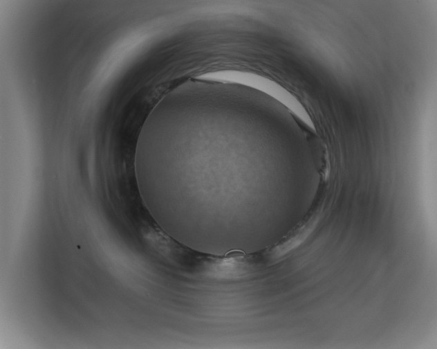 X0000111210382200907081307