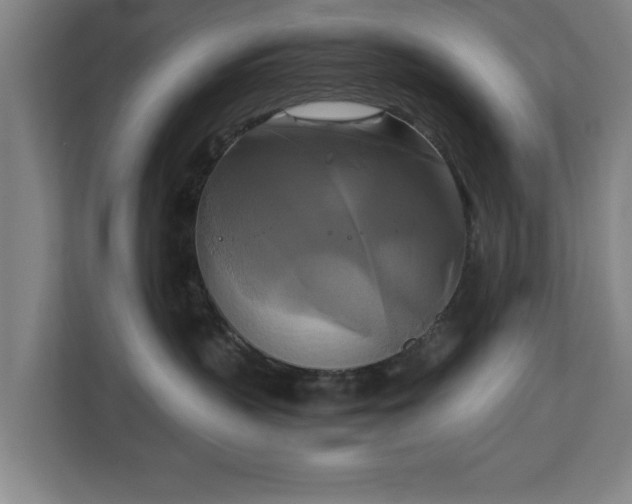 X0000111210383200907081307