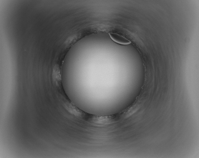 X0000111210384200907081307