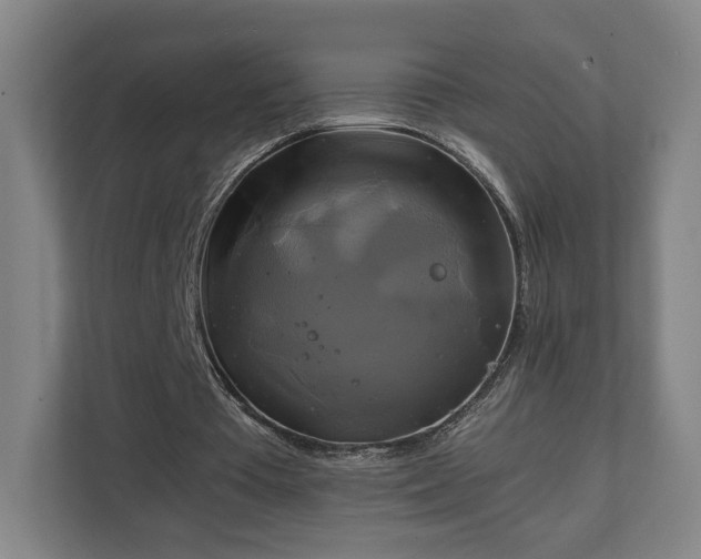 X0000111210385200907081306