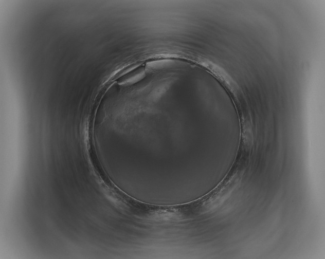 X0000111210386200907081306