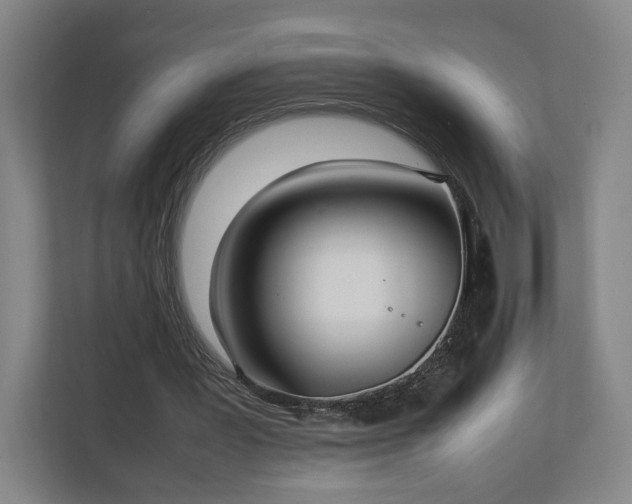 X0000111210387200907081306