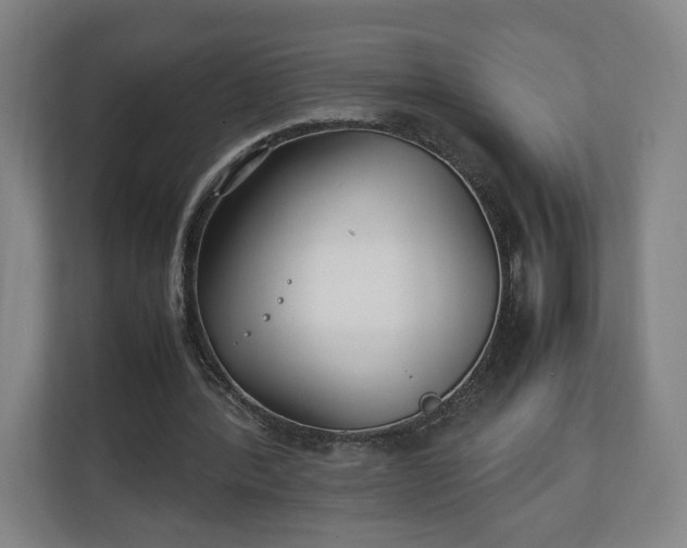 X0000111210388200907081306