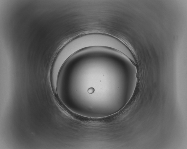 X0000111210389200907081306