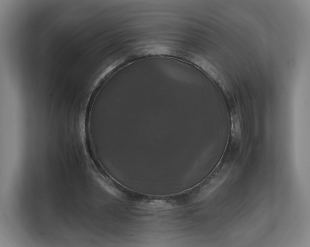 X0000111210390200907081306