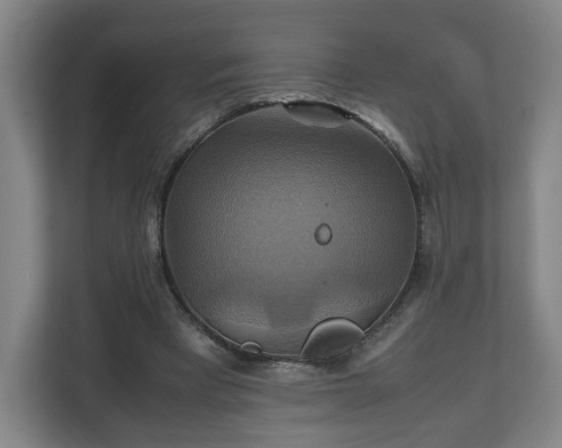 X0000111210393200907081306