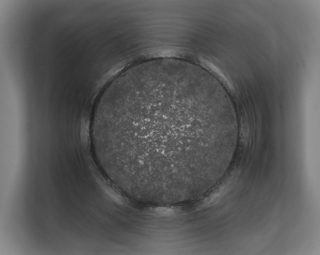 X0000111210394200907081306