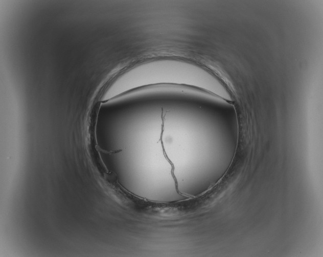 X0000111210395200907081306