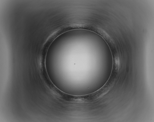 X0000111210396200907081306