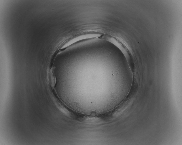 X0000111210397200907081306