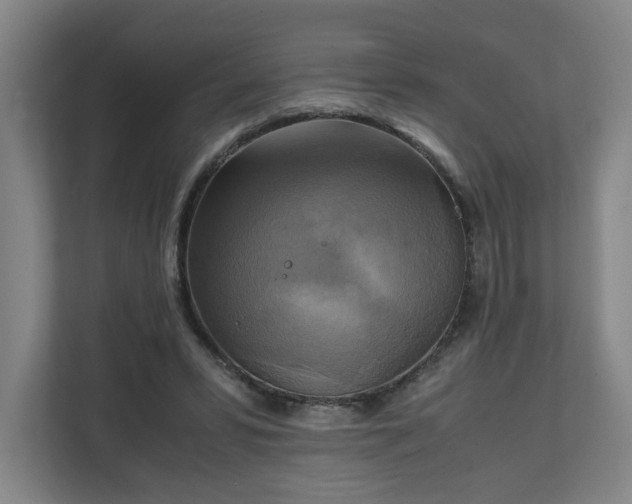 X0000111210399200907081306