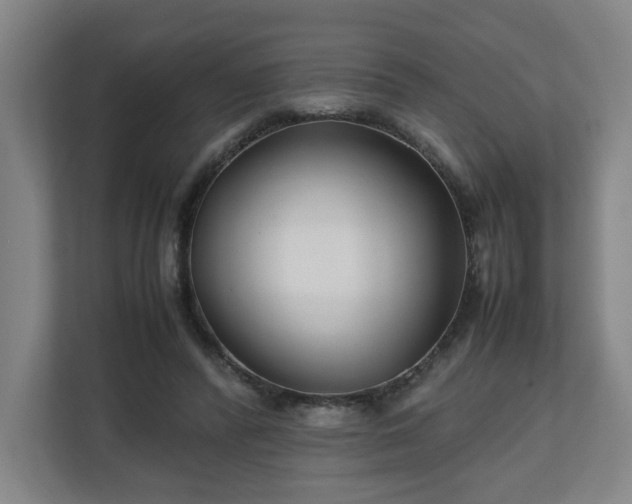 X0000111210400200907081306