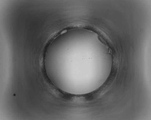 X0000111210403200907081306